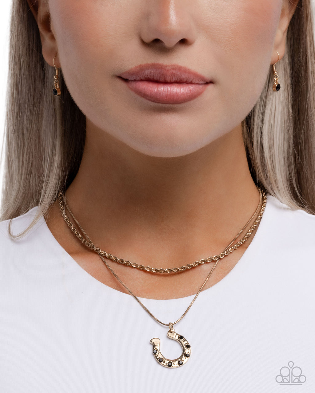 eight-dollar-jewelry-horseshoe-haven-black-necklace-paparazzi-accessories