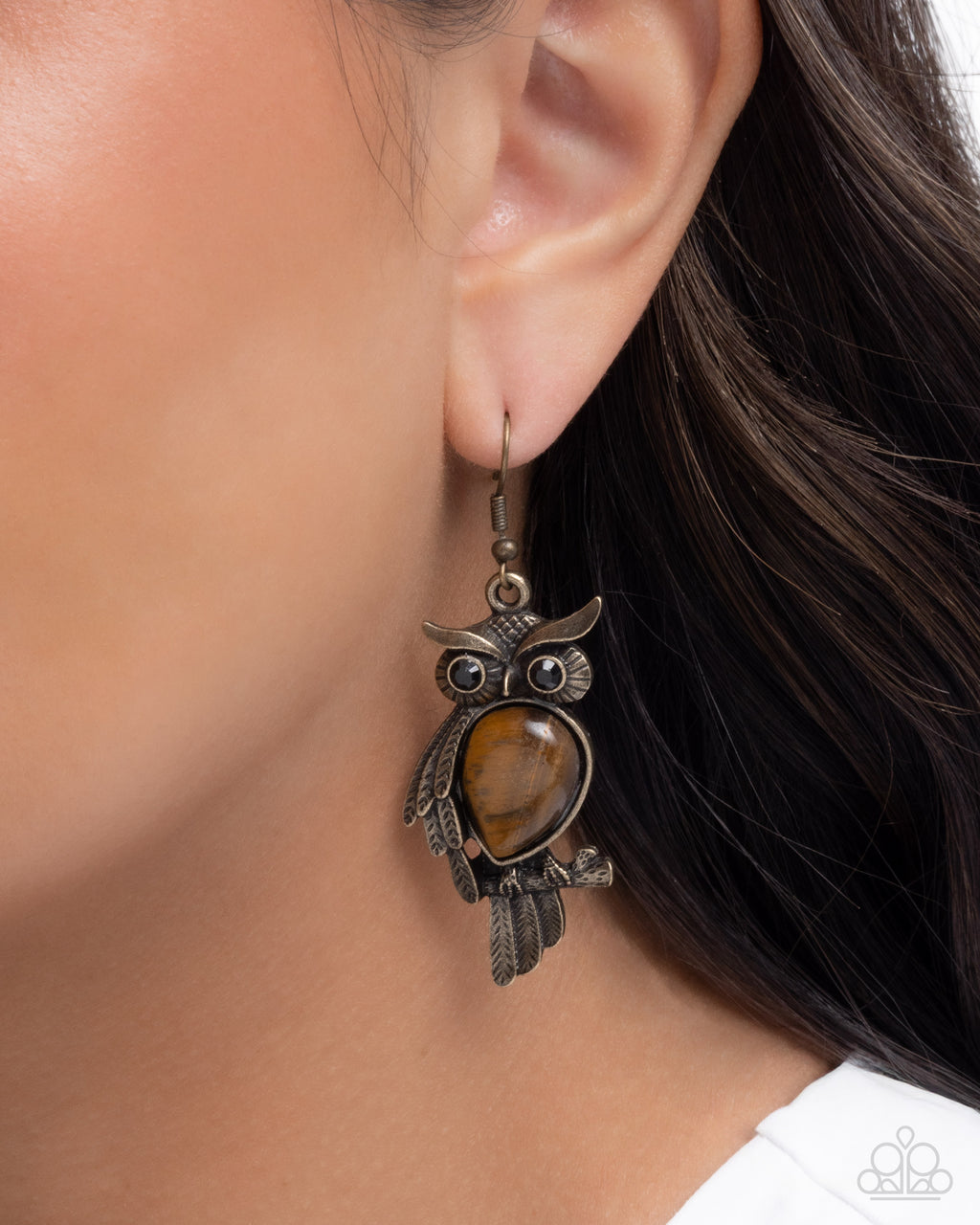 eight-dollar-jewelry-owl-observation-brass-earrings-paparazzi-accessories