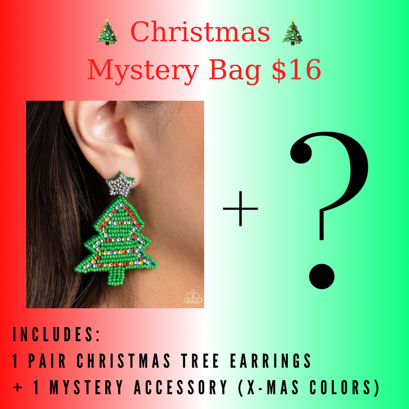 Christmas Mystery Bag $16 CHRISTMAS TREE SEED BEAD EARRINGS & 1 MYSTERY ACCESSORY
