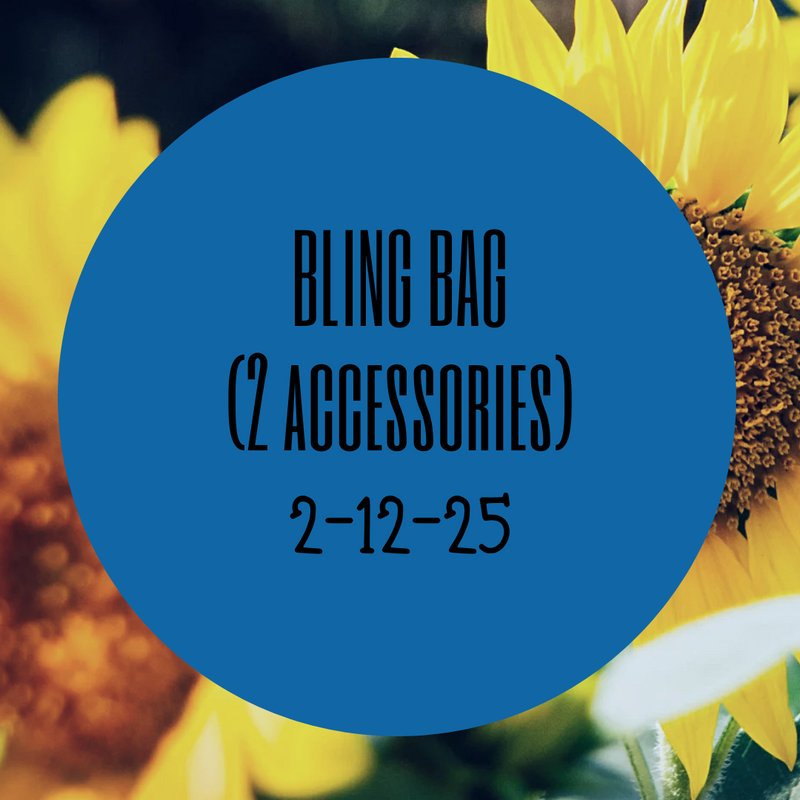 BLING BAG (Live 2-12-25)